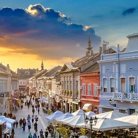 Franks * Novi Sad